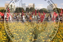 [Título n/d] : lote nº 002, pasta nº 000044, doc. nº 000059 [imagem] / Fotógrafo(a) : [autoria n/d].