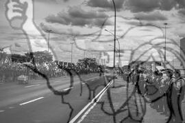 [Título n/d] : lote nº 002, pasta nº 000080, doc. nº 000015 [imagem] / Fotógrafo(a) : [autoria n/d].