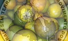 [Título n/d] : lote nº 002, pasta nº 000089, doc. nº 000044 [imagem] / Fotógrafo(a) : [autoria n/d].