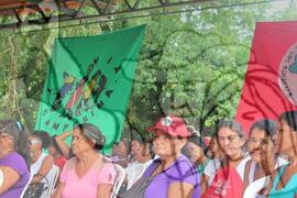 [Título n/d] : lote nº 002, pasta nº 000100, doc. nº 000022 [imagem] / Fotógrafo(a) : [autoria n/d].