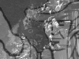 [Título n/d] : lote nº 002, pasta nº 000043, doc. nº 000112 [imagem] / Fotógrafo(a) : [autoria n/d].