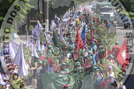 [Título n/d] : lote nº 002, pasta nº 000047, doc. nº 000037 [imagem] / Fotógrafo(a) : [autoria n/d].