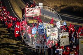 [Título n/d] : lote nº 002, pasta nº 000116, doc. nº 000080 [imagem] / Fotógrafo(a) : [autoria n/d].