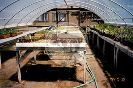 Plantações (Honduras, [sem data]) [fotografia] / Fotógrafo(a) : Arquivo MST. -- Ref.: BR-SPMST_MST-SN-CIN_AMP_001111-009175-RIT.