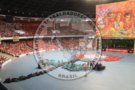 [Título n/d] : lote nº 002, pasta nº 000077, doc. nº 000018 [imagem] / Fotógrafo(a) : [autoria n/d].