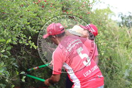 [Título n/d] : lote nº 002, pasta nº 000014, doc. nº 000259 [imagem] / Fotógrafo(a) : [autoria n/d].