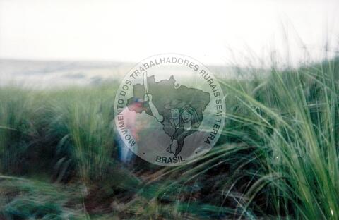 Original Document numérique not accessible