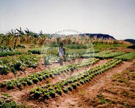 Acampamento "Arco Verde" do MST (Pernambuco, [sem data]) [fotografia] / Fotógrafo(a) : Edmilson Bezerros. -- Ref.: BR-SPMST_MST-SN-CIN_AMP_000067-000585-ACP.