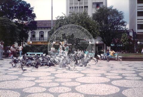 Original Document numérique not accessible