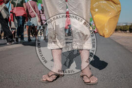 [Título n/d] : lote nº 002, pasta nº 000107, doc. nº 000012 [imagem] / Fotógrafo(a) : [autoria n/d].