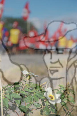 [Título n/d] : lote nº 002, pasta nº 000074, doc. nº 000414 [imagem] / Fotógrafo(a) : [autoria n/d].