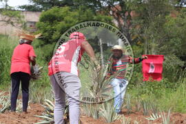 [Título n/d] : lote nº 002, pasta nº 000014, doc. nº 000198 [imagem] / Fotógrafo(a) : [autoria n/d].