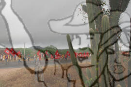 [Título n/d] : lote nº 002, pasta nº 000074, doc. nº 000337 [imagem] / Fotógrafo(a) : [autoria n/d].