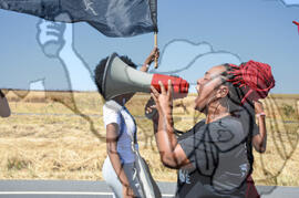 [Título n/d] : lote nº 002, pasta nº 000108, doc. nº 000013 [imagem] / Fotógrafo(a) : [autoria n/d].