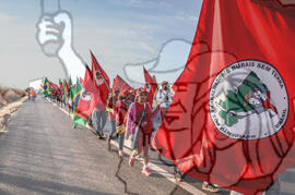 [Título n/d] : lote nº 002, pasta nº 000108, doc. nº 000004 [imagem] / Fotógrafo(a) : [autoria n/d].