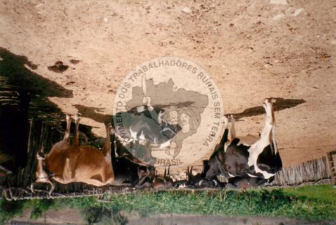 Original Document numérique not accessible