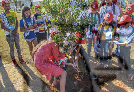 Original Objeto digital not accessible