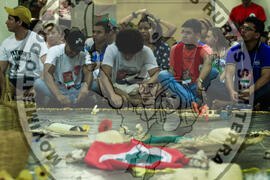 [Título n/d] : lote nº 002, pasta nº 000085, doc. nº 000069 [imagem] / Fotógrafo(a) : [autoria n/d].