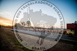 [Título n/d] : lote nº 002, pasta nº 000113, doc. nº 000011 [imagem] / Fotógrafo(a) : [autoria n/d].