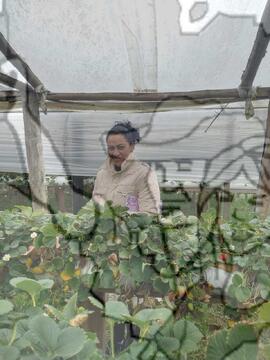 [Título n/d] : lote nº 002, pasta nº 000033, doc. nº 000059 [imagem] / Fotógrafo(a) : [autoria n/d].