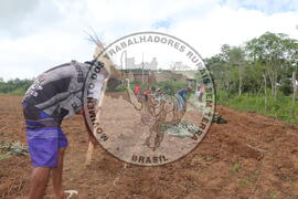 [Título n/d] : lote nº 002, pasta nº 000014, doc. nº 000191 [imagem] / Fotógrafo(a) : [autoria n/d].