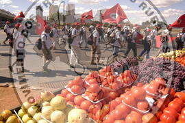 [Título n/d] : lote nº 002, pasta nº 000044, doc. nº 000372 [imagem] / Fotógrafo(a) : [autoria n/d].
