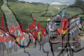 [Título n/d] : lote nº 002, pasta nº 000074, doc. nº 000357 [imagem] / Fotógrafo(a) : [autoria n/d].