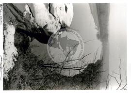 Pequenas propriedades dos EUA (Cortez (EUA), [sem data]) [fotografia] / Fotógrafo(a) : Nancy Dunchutceck. -- Ref.: BR-SPMST_MST-SN-CIN_AMP_001063-008614-RIT.